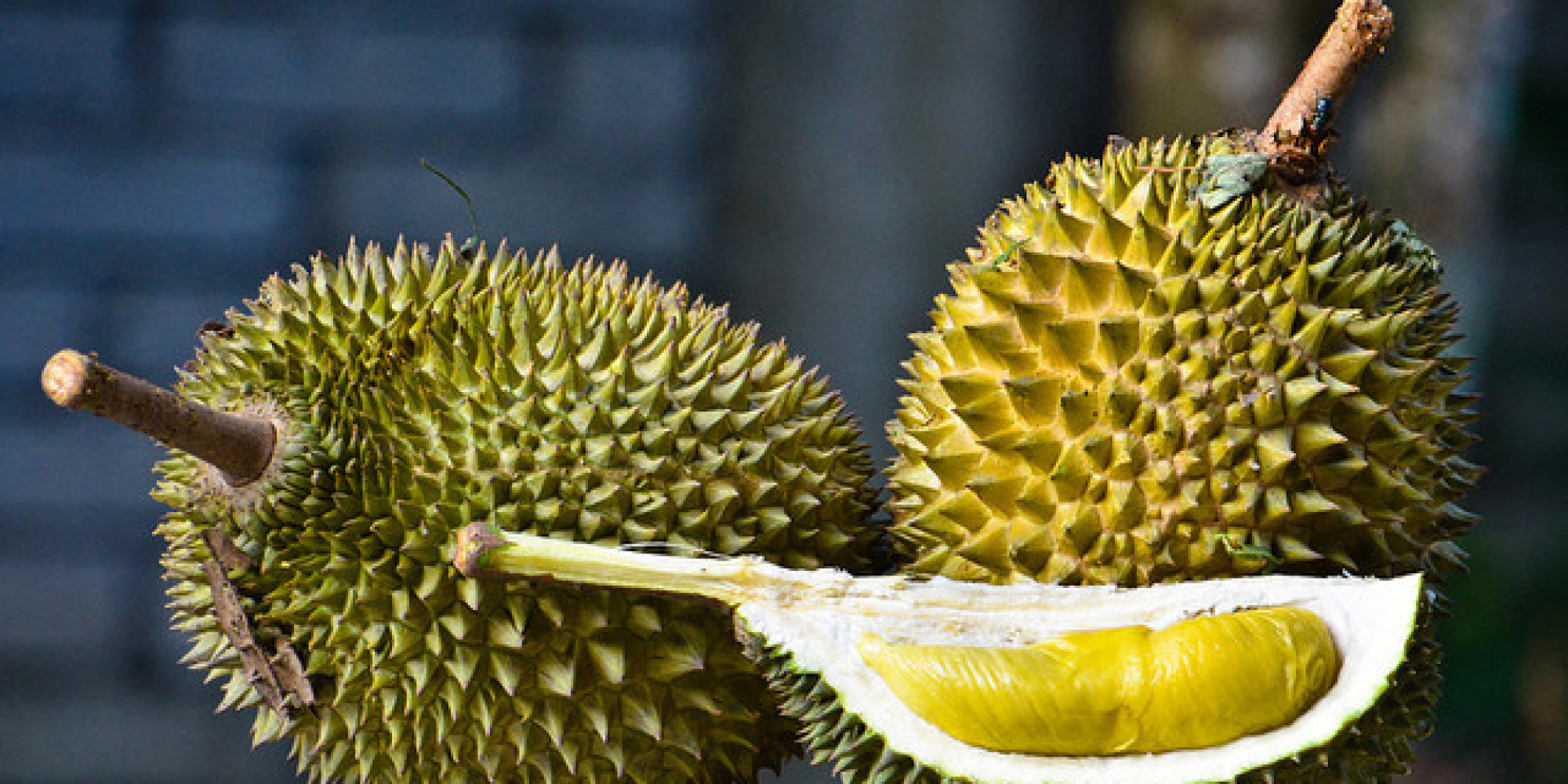 Efek Kesehatan Di Balik Nikmat Durian Global Newscoid