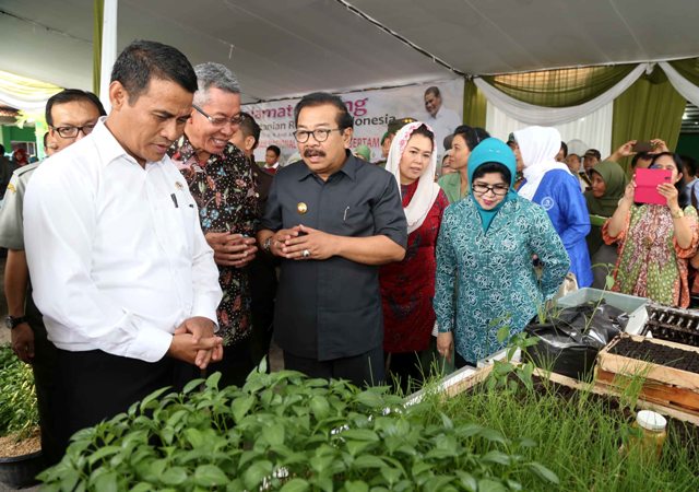 Menteri pertanian didampingi gubernur Jatim melihat berbagai tanaman pangan di BPTP Wonocolo.